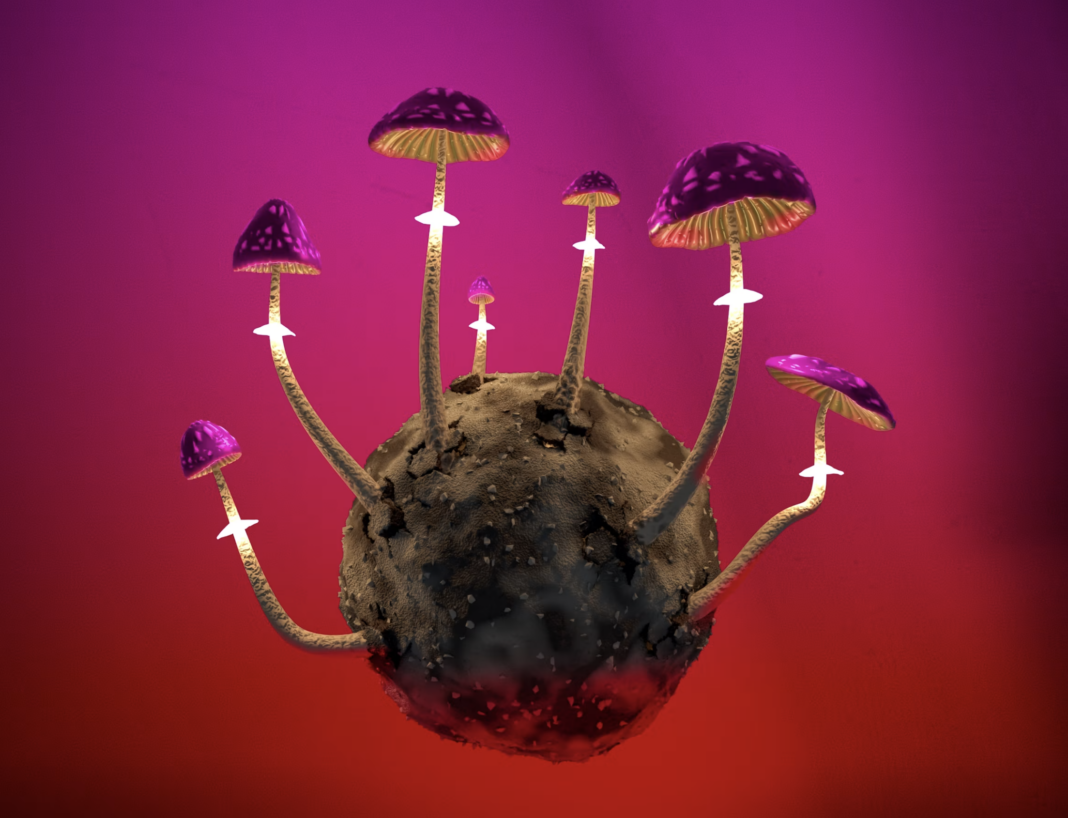 Psilocybin magic mushrooms and chemotherapy-induced peripheral neuropathy research