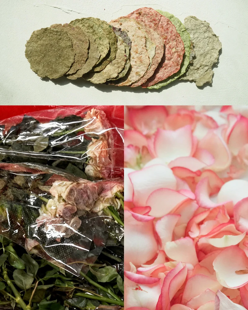 Rebloom makes pulpy clay from flowers, like a paper mache