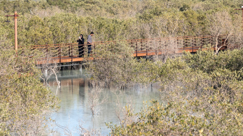 Nature as Capital at COP30 and how blended finance and debt-for-nature swaps work