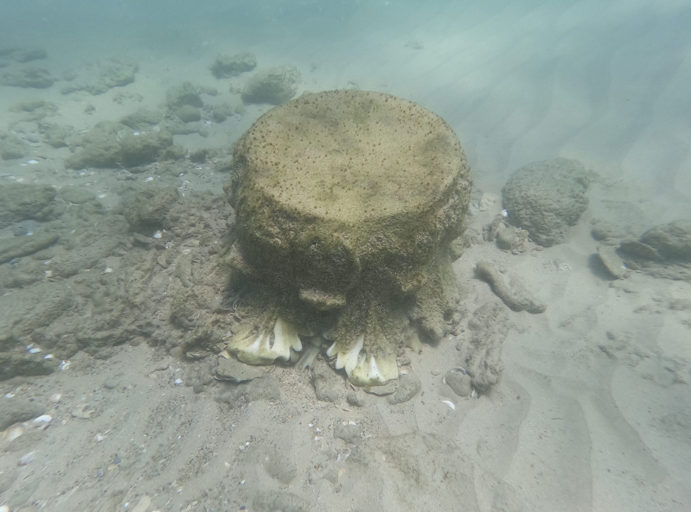 ancient marble treasure under the sea