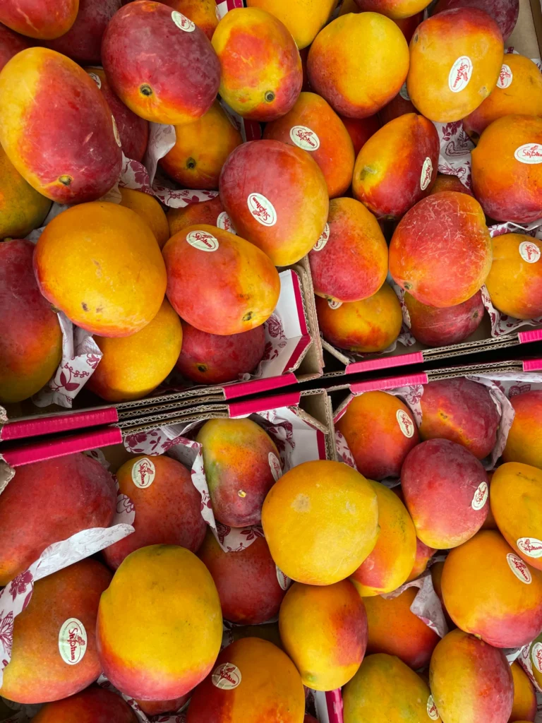 Mango and avocado combine for heart health