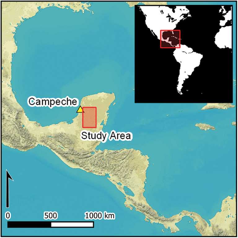 Ancient city found in jungle in Mexico