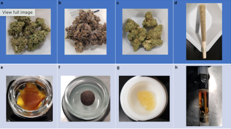 Half of all medical cannabis doses labeled incorrectly