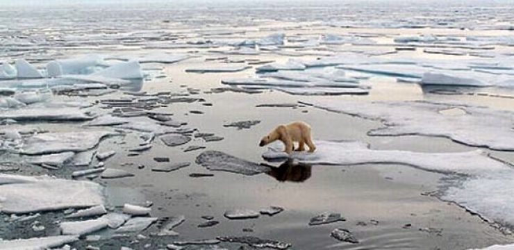 melting-polar-ice-caps-1.jpg