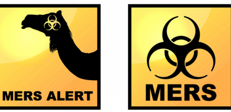 mers-saudi-arabia-camel.png