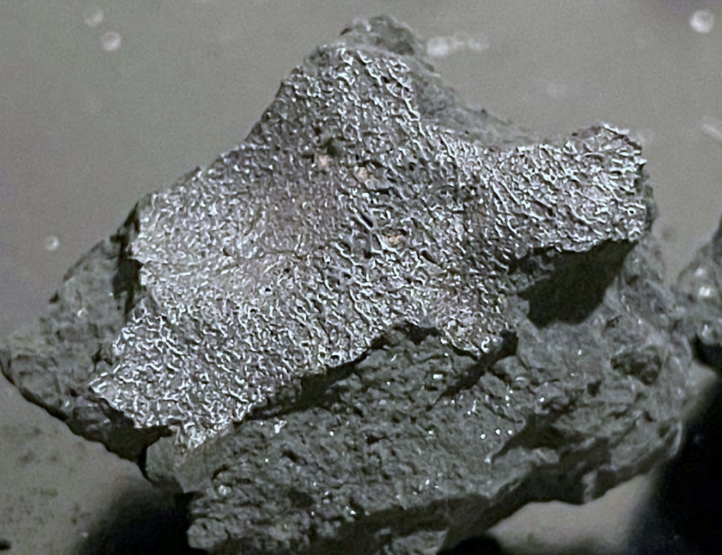 he Hillsborough meteorite crashed through the roof of a New Jersey home and scattered black fragments and dust across a bedroom. Scientists studying the unusually pristine meteorite found evidence of ancient salt-rich brines, organic compounds and amino acids. Credit: SETI Institute / research team, use the exact photographer credit supplied with the image.