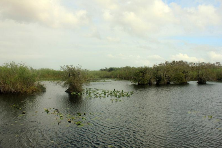 Discover Miami’s Best Outdoor Group Retreats