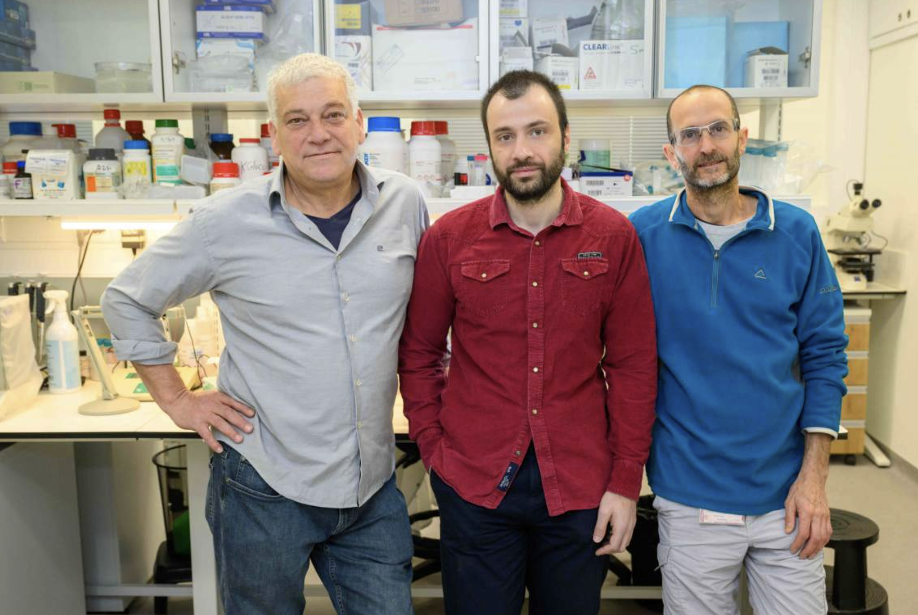 The mice whiskers can hear team