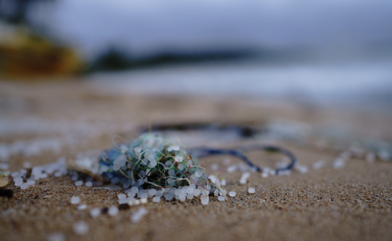 Microplastics are pairing up with pollutants. This is bad news.