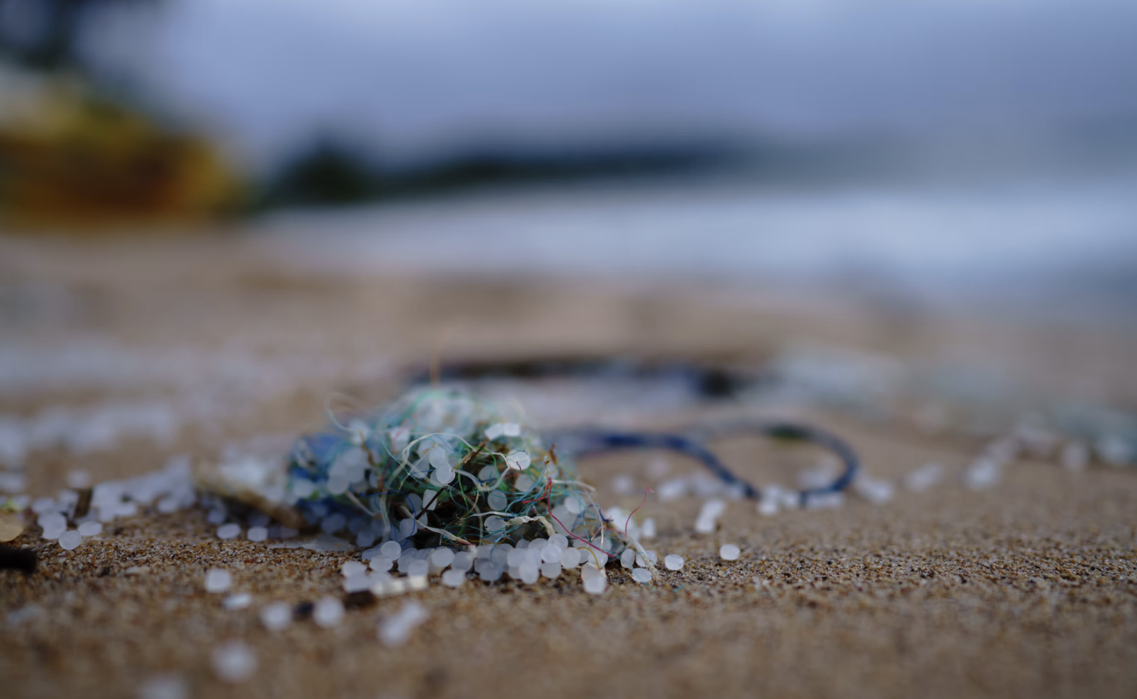 microplastics at sea