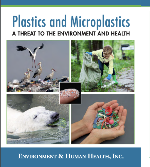 microplasics report