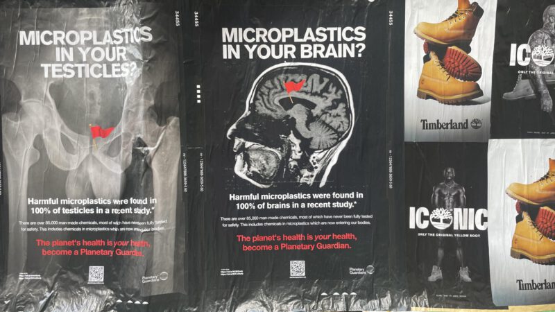 Pathogens are thriving in the plastisphere