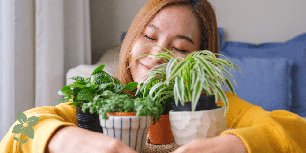 Dusty plants? Let them eat their hearts out.