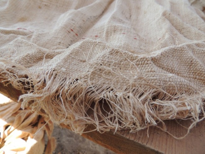 millions of mummies found in ancient Egyptian cemetery