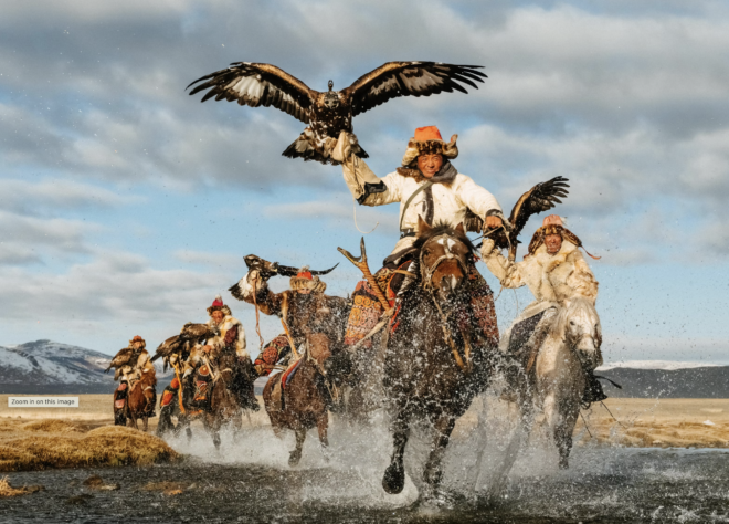 A Mongolian eagle hunter crosses the vast steppe with a golden eagle, carrying on an ancient hunting tradition deeply connected to the land and pastoral life.