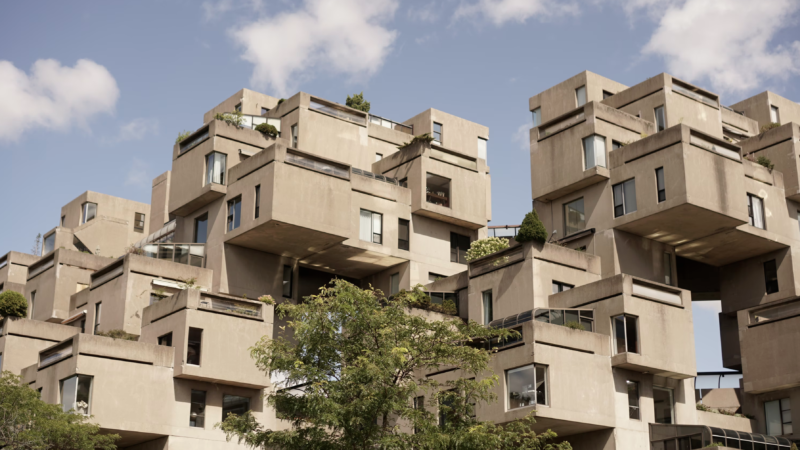 What is regenerative design? A UK crew develops a future-thinking handbook