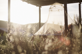 Malaria a new threat to Europe Malaria a new threat to Europe