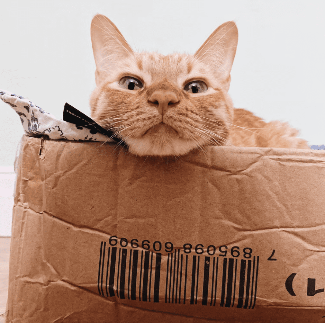 <strong>Planning a sustainable house move</strong>