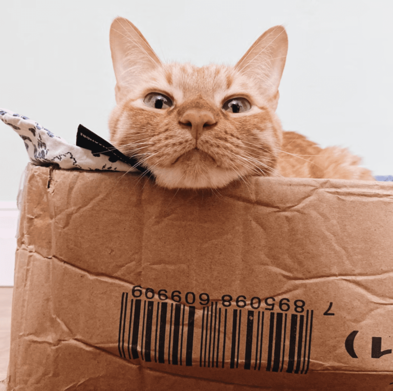 <strong>Planning a sustainable house move</strong>