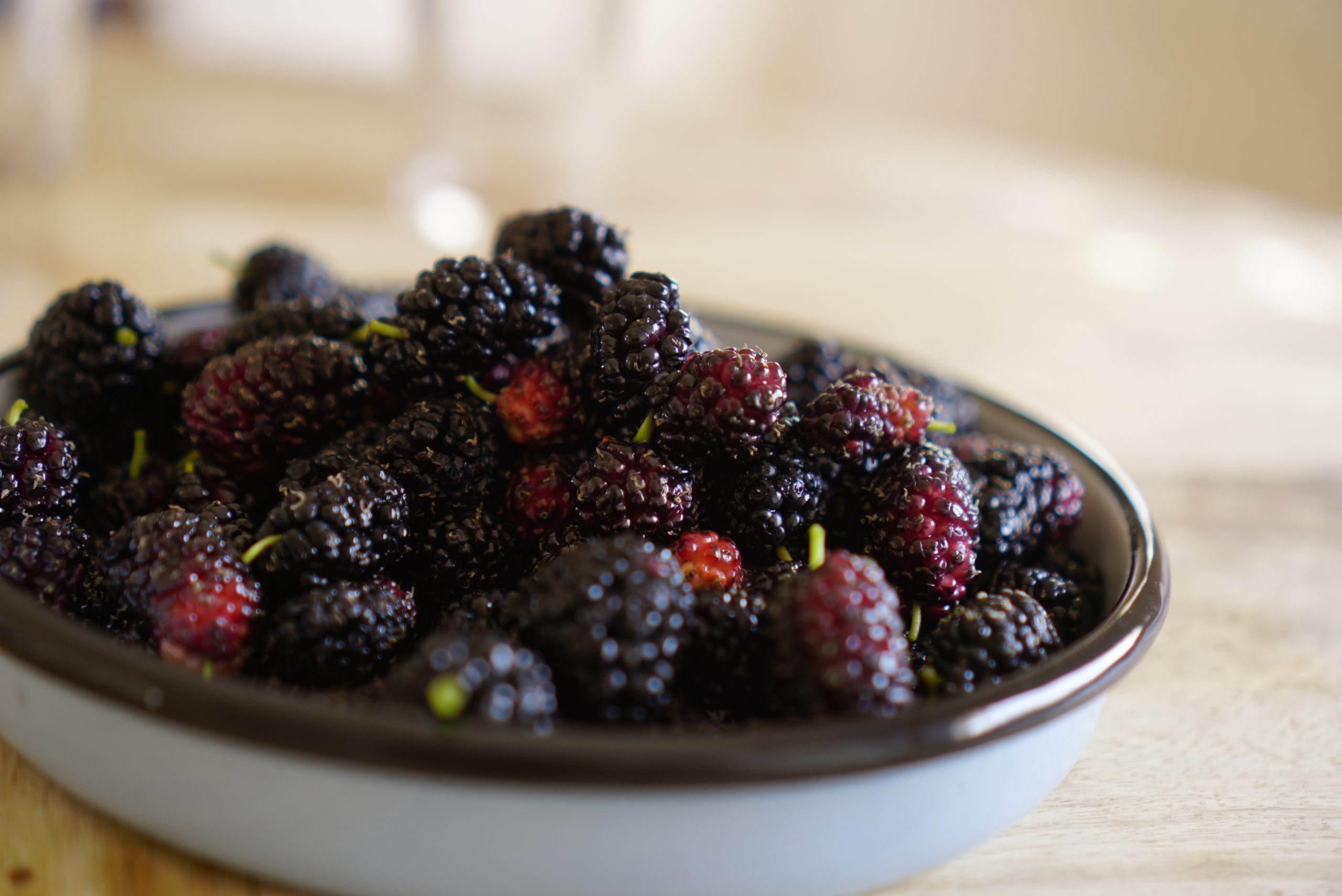 mulberry red purple berries from Jaffa