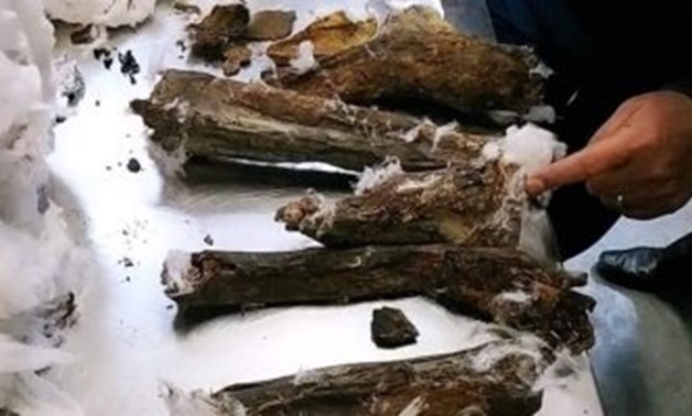 mummy foiling team smuggling egypt cairo in speaker