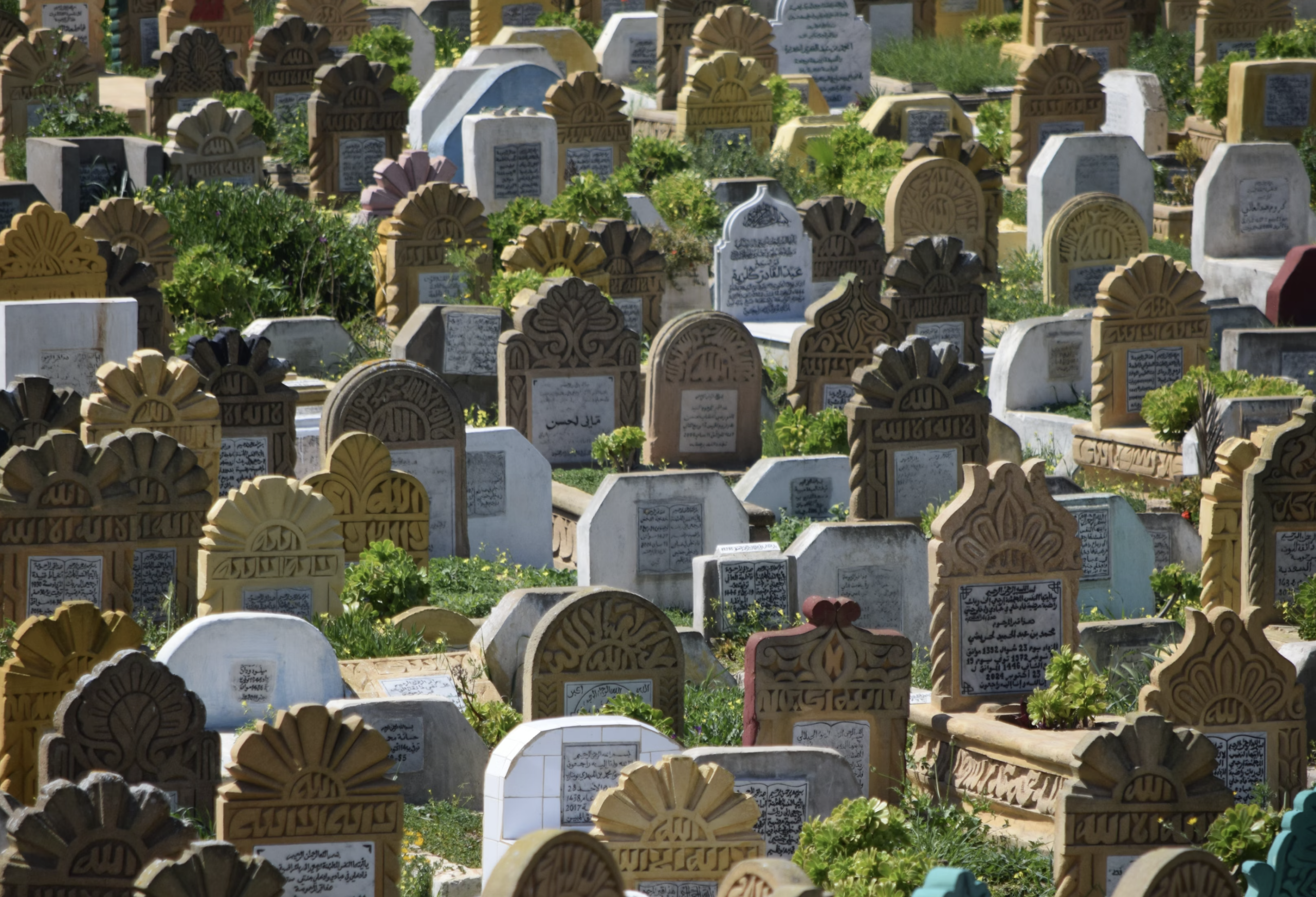 Green Muslim, Islam, burial customs