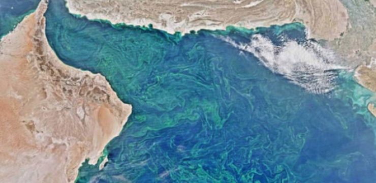 nasa-deadzone-arabian-sea.jpg