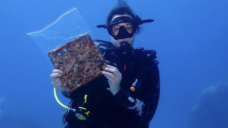 The UN builds an AI coalition to save the planet