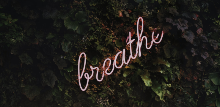 neon-breathe-sign-plants-green-wall.png