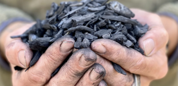 new-york-carbon-biochar.png
