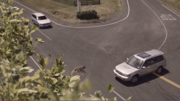 This video will scare you into driving slower