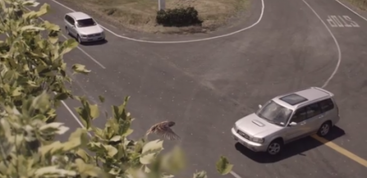new-zealand-driving-ad.png