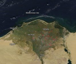 NASA catches Egypt’s black cloud rice fires on camera