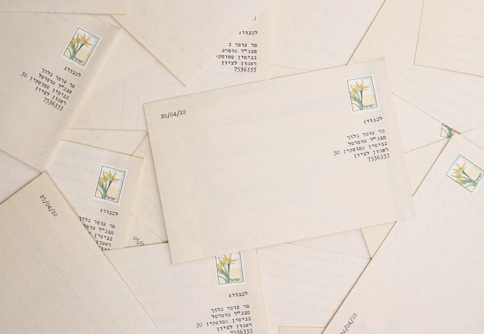 dumpster diving, food waste, art, Israel