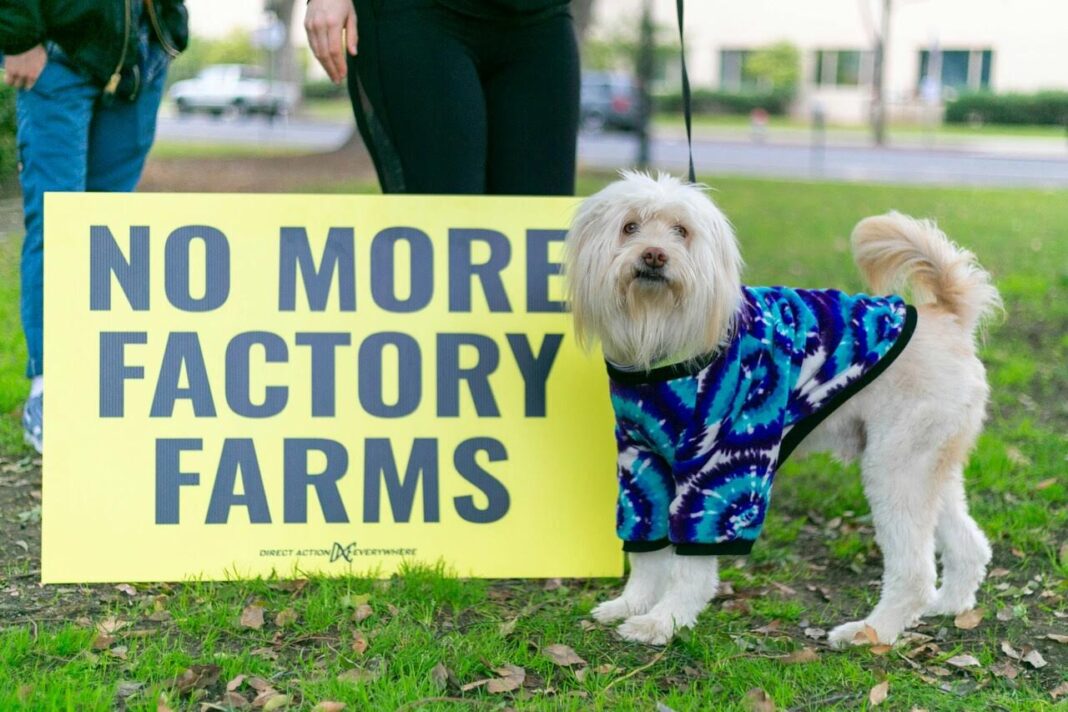 Nutri-Score and the Factory Farm Illusion