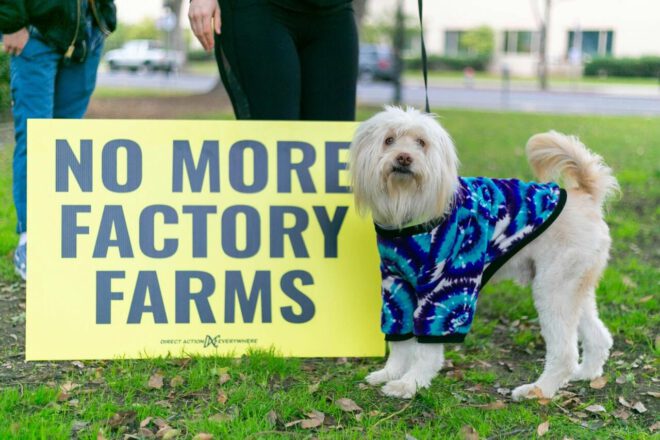 No more factory farms