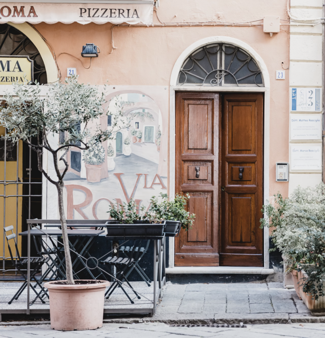 Problems with olive trees in pots