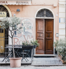 Problems with olive trees in pots