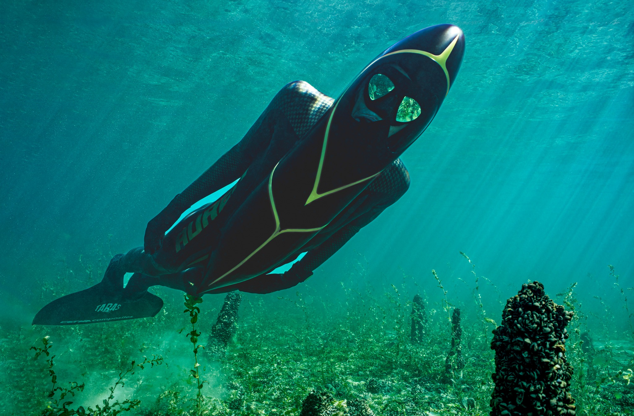 Dive into the past... Palaffitic site of Preverenges Lake Léman. The pilots date from the ancient bronze (1770 - 1600 BC. J.C. ! ). These sites are UNESCO World Heritage Site.A big hat to MAURO ZURCHER for making these beautiful photos in difficult conditions. Bravo! A dive into the past... Préverenges Pile Dwelling Site, Lake Geneva. The piles date back to the Early Bronze Age (1770-1600 BC!). These sites are listed as UNESCO World Heritage Sites.