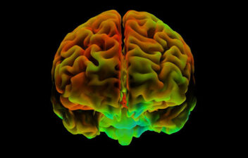 Optimists wear the same rose-colored glasses