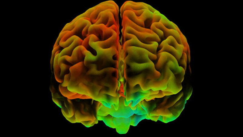 Optimists wear the same rose-colored glasses