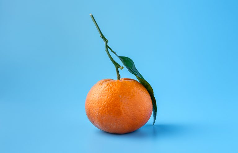 Upcycled oranges are used for CBD in Japan
