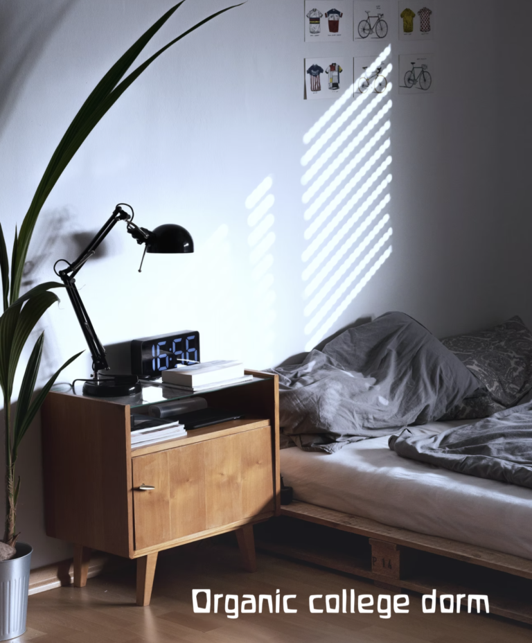 How to green your dorm without going broke