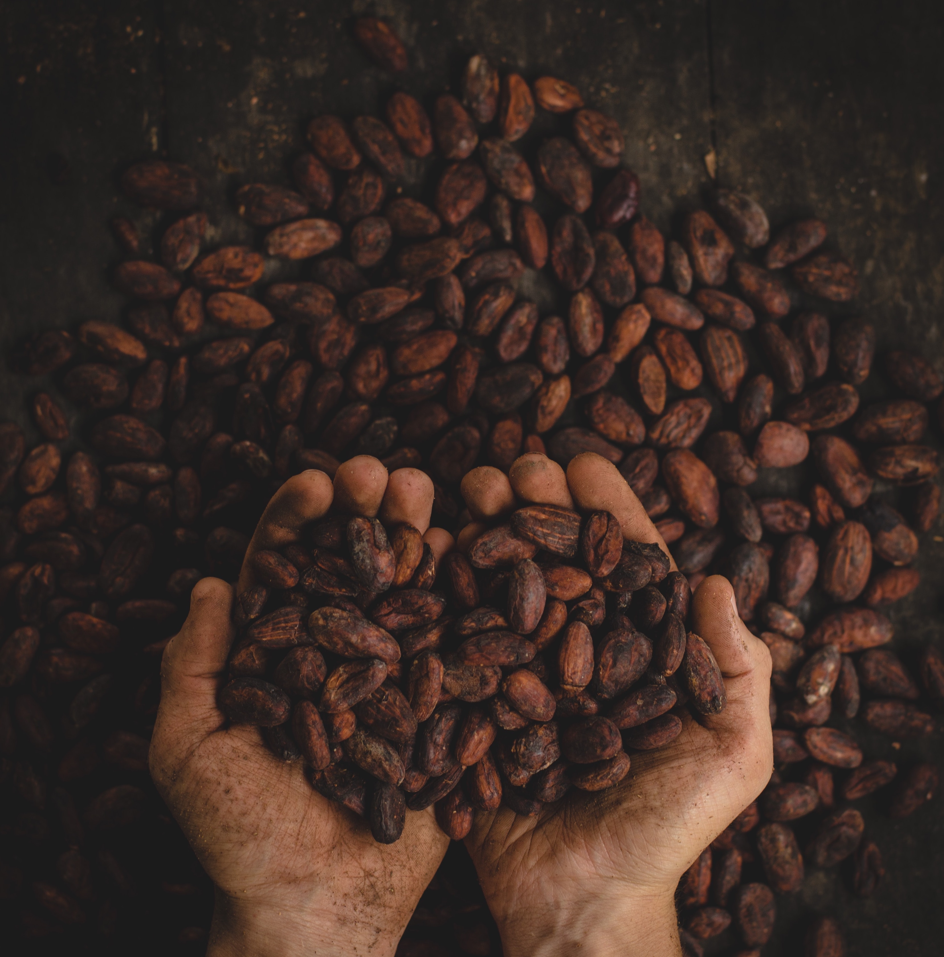 sustainable commodity