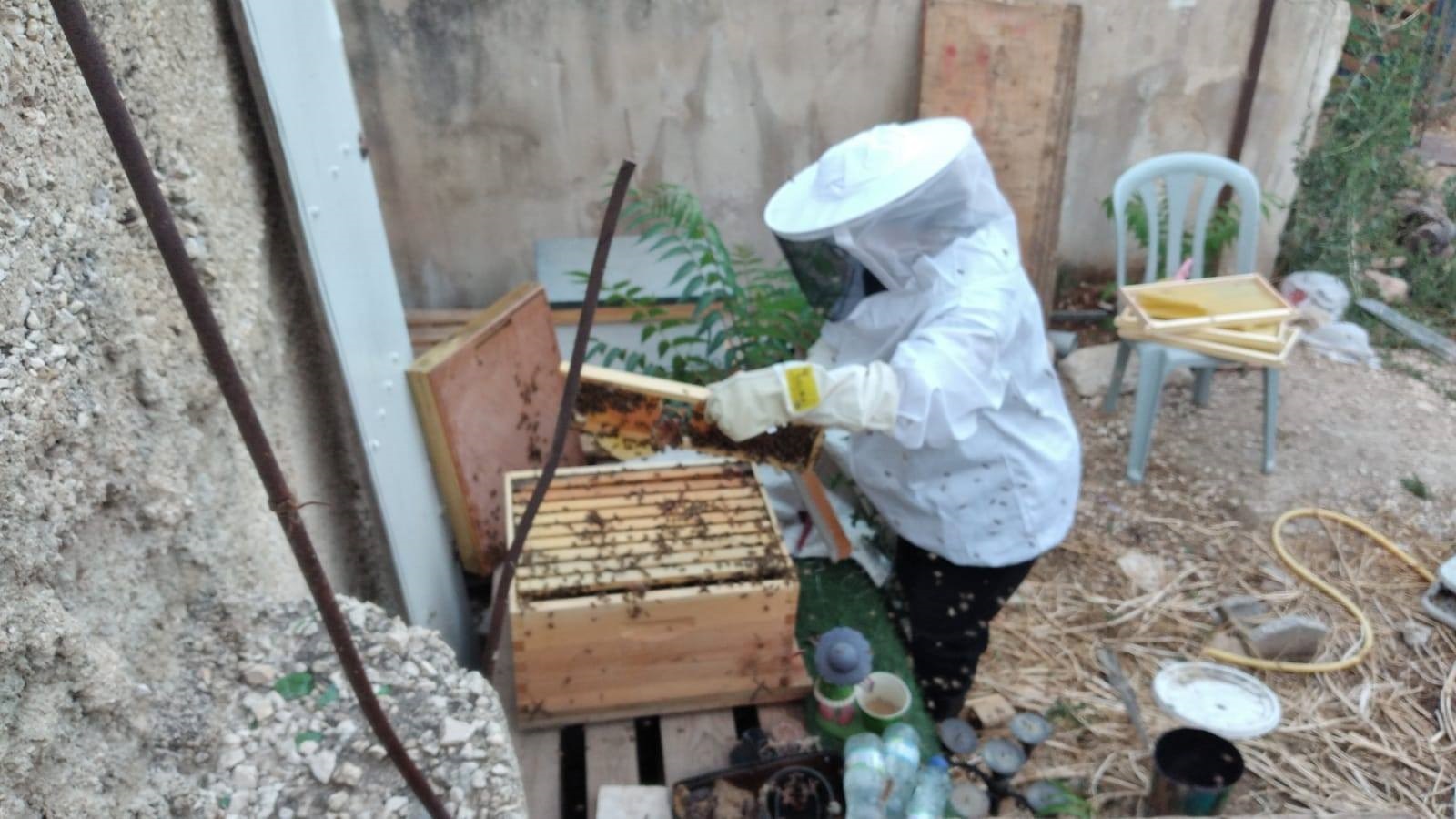 Sinsila beekeeper, East Jerusalem