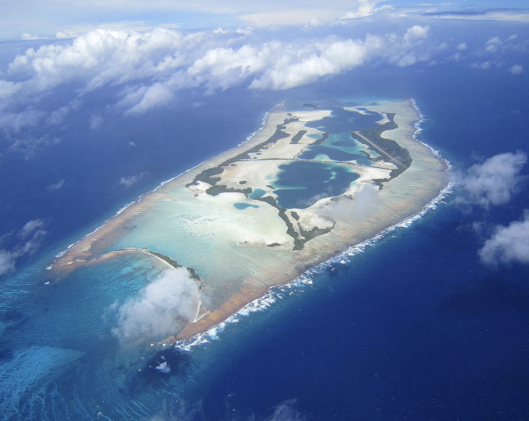 Palmyra atoll fungus to conserve it