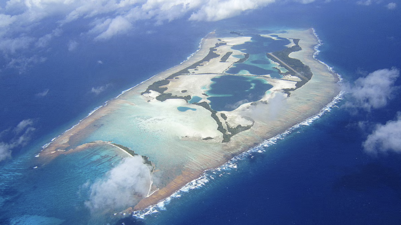 How fungi is restoring a broken island