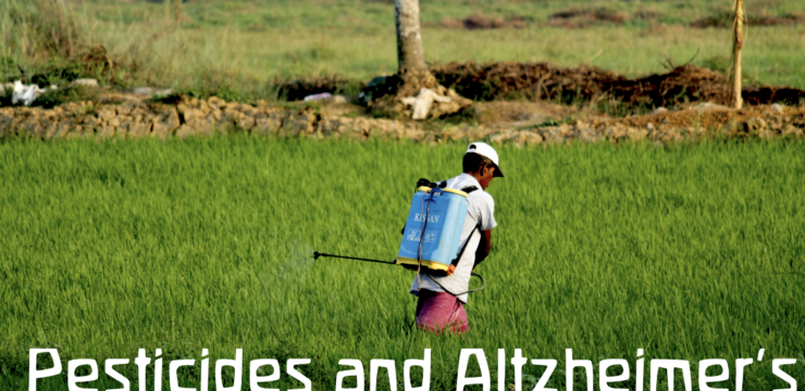 DDT and your brain, man spraying field in Kerala, India