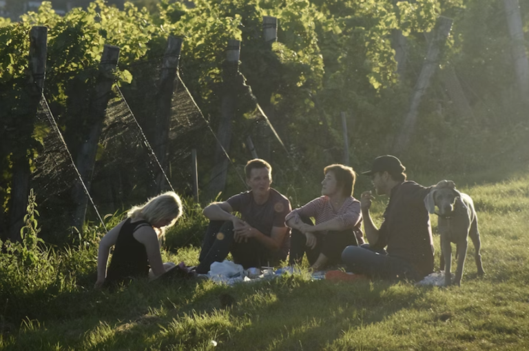 Effective Ways for Pet Parents to Manage Dog Skin Infections