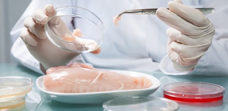 petri-dish-meat.jpg